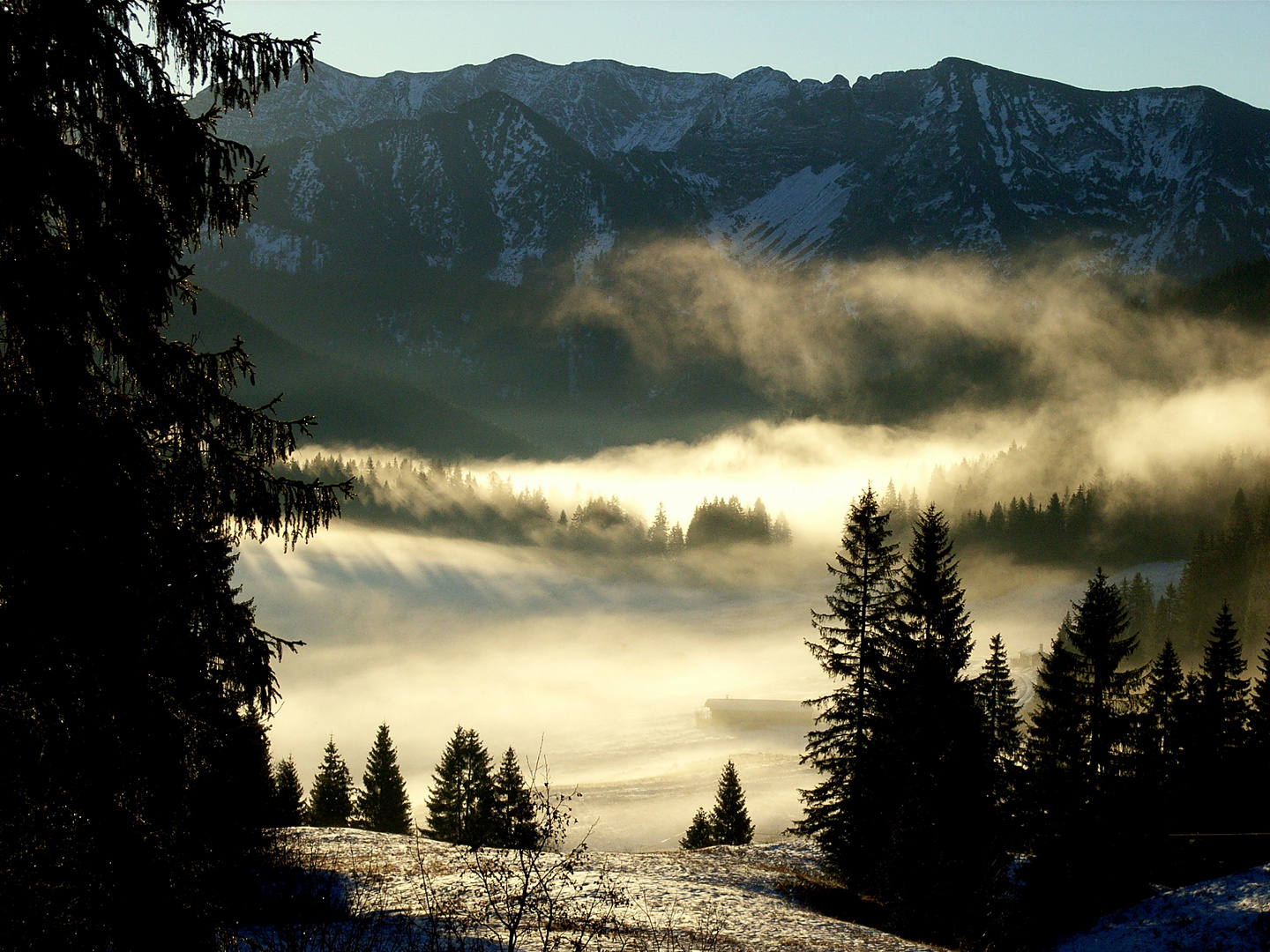 Nebel im Tal ...