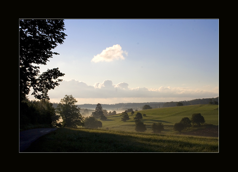 - Nebel im Tal -