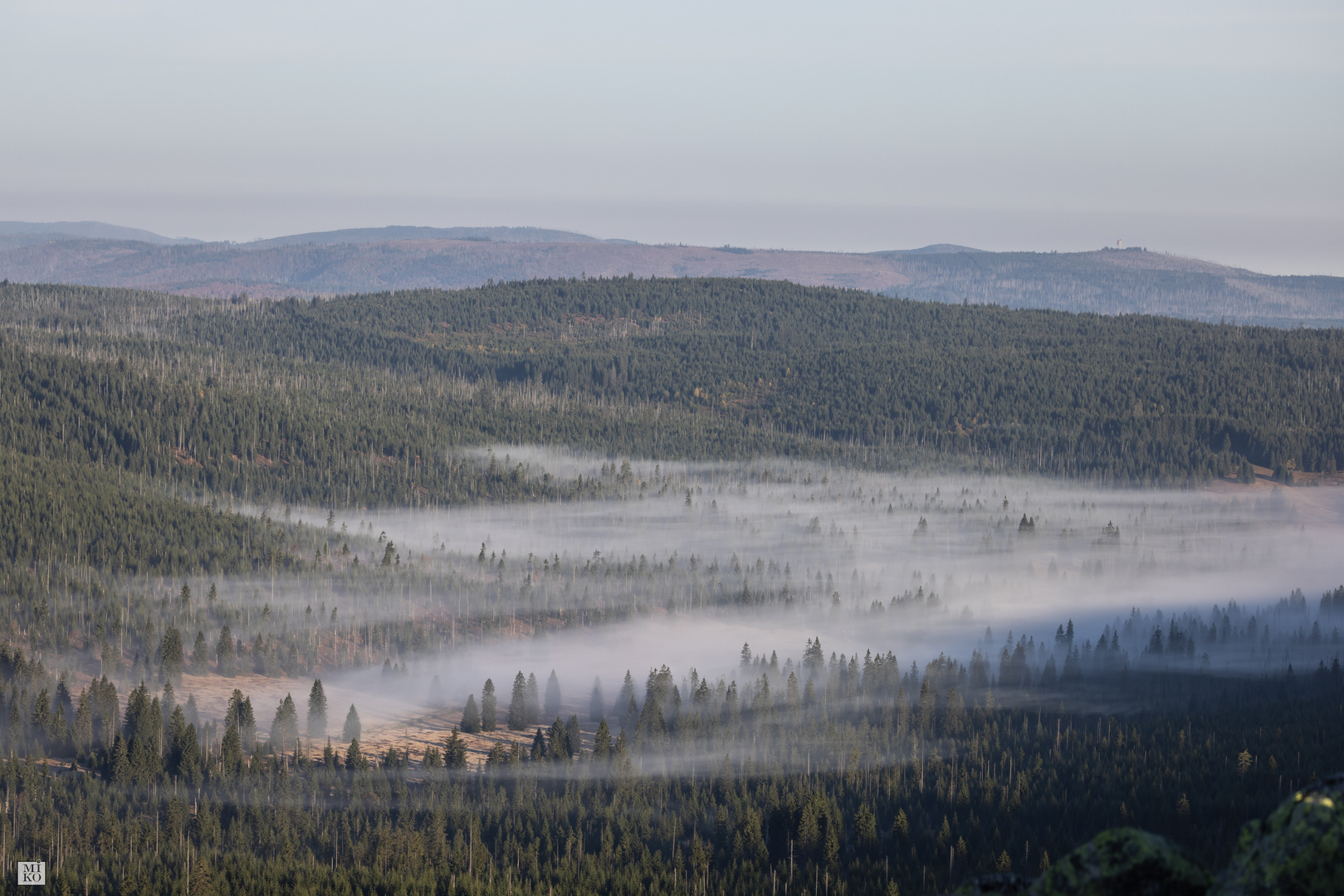 Nebel im Tal