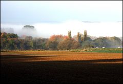 Nebel im Tal II