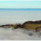 Nebel im Tal im Jänner !