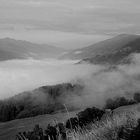 Nebel im Tal Schwarzweiss