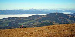 Nebel im Tal, Sonnenschein auf den Bergen 