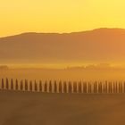 Nebel im Tal von Val d'Orcia