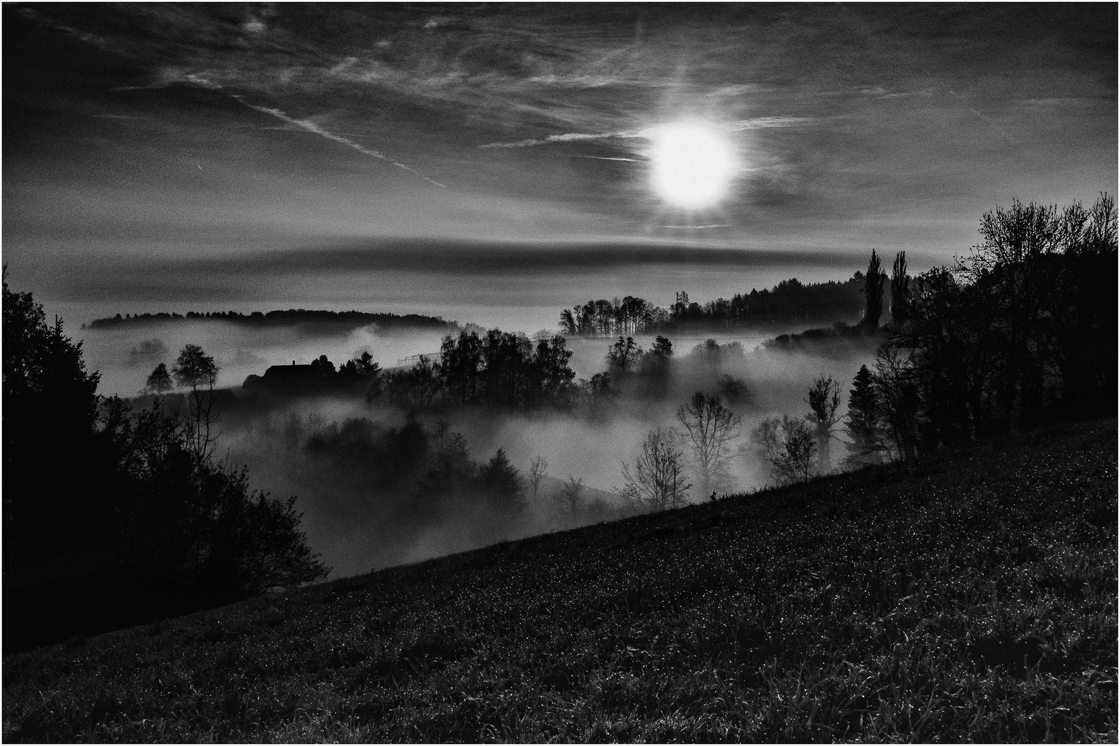 Nebel im Tal_bw