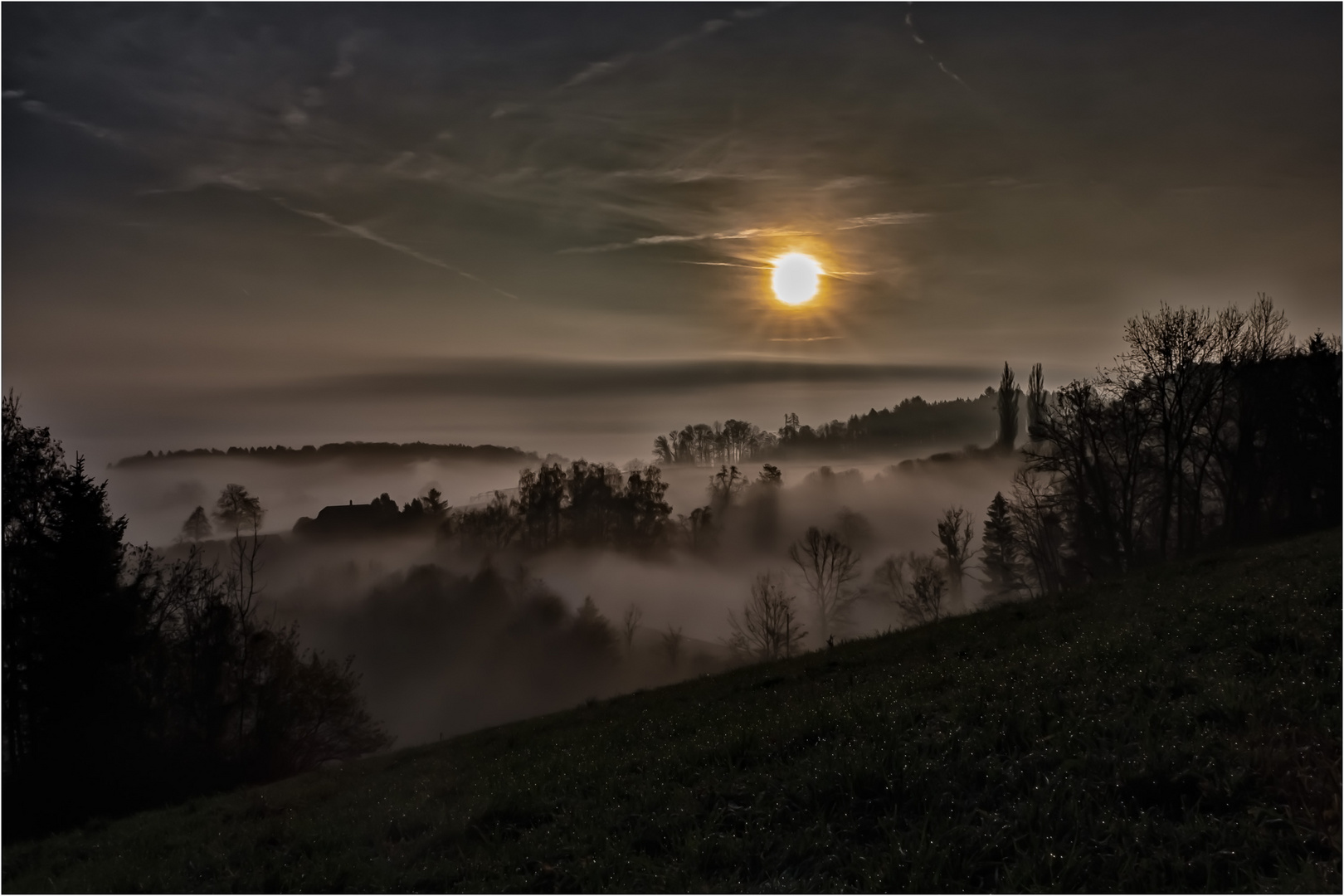 Nebel im Tal_col