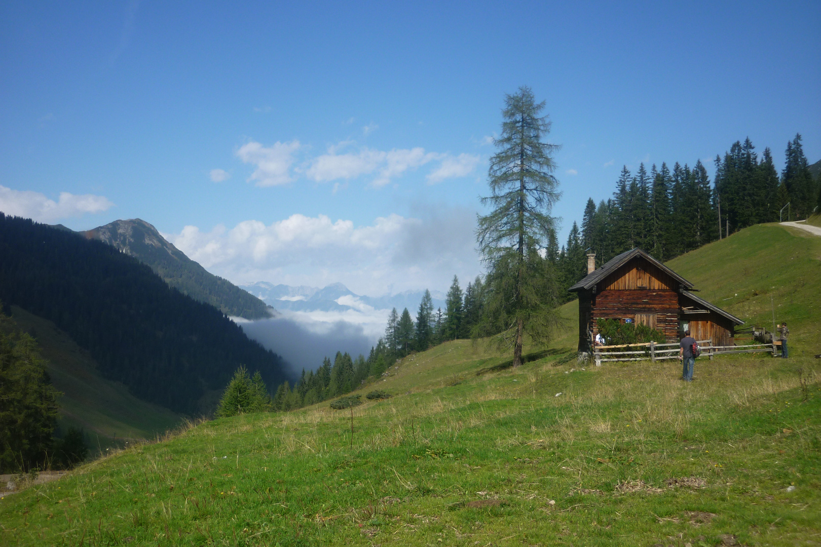 Nebel im Tal...Sonne auf der Alm