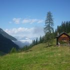 Nebel im Tal...Sonne auf der Alm