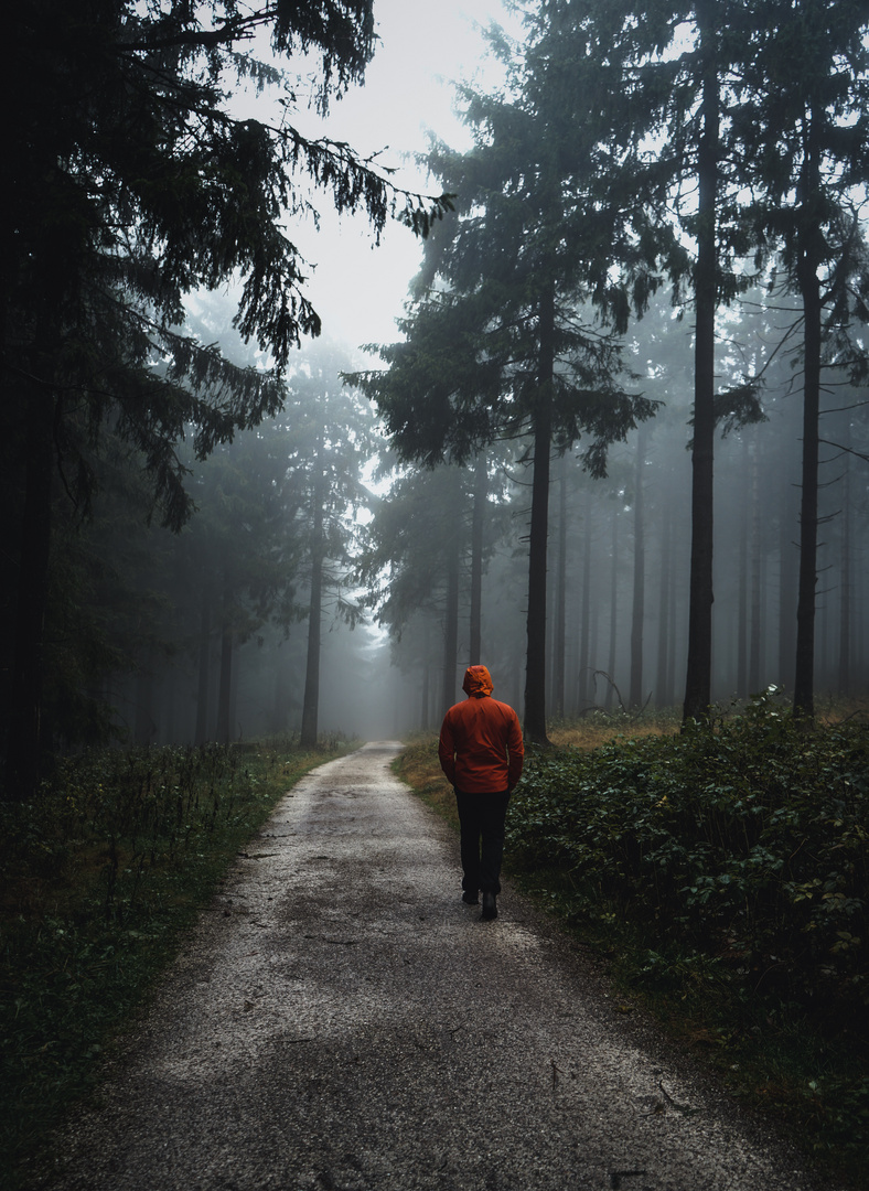 Nebel im Taunus