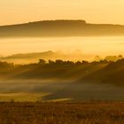 Nebel im Taunus