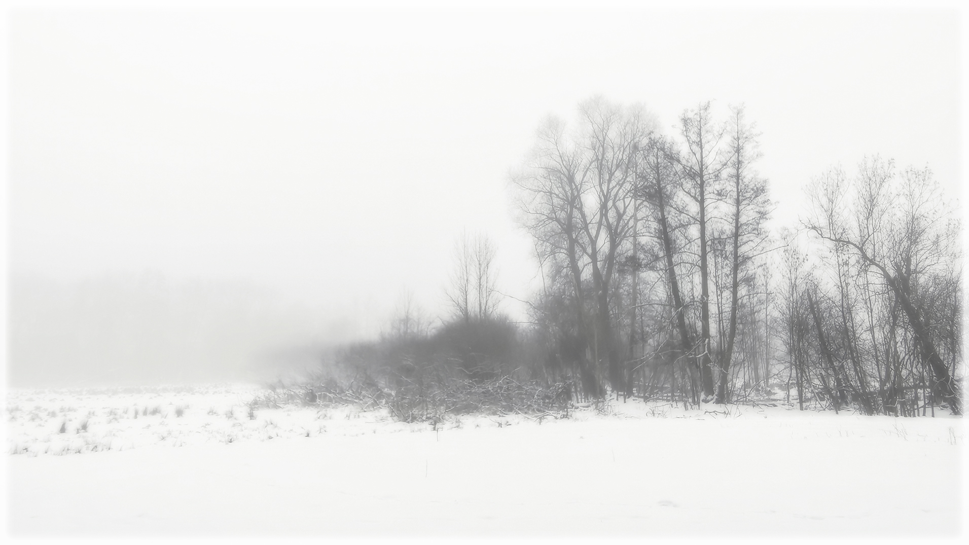 Nebel im Tegeler Fließ 2
