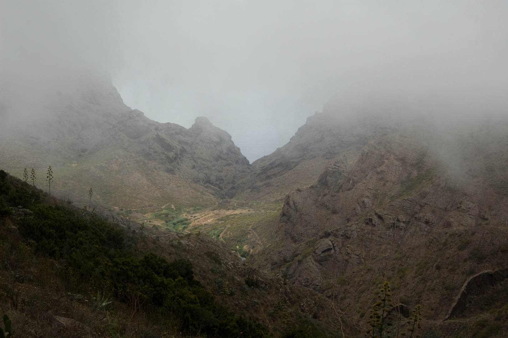 Nebel im Teno-Gebirge