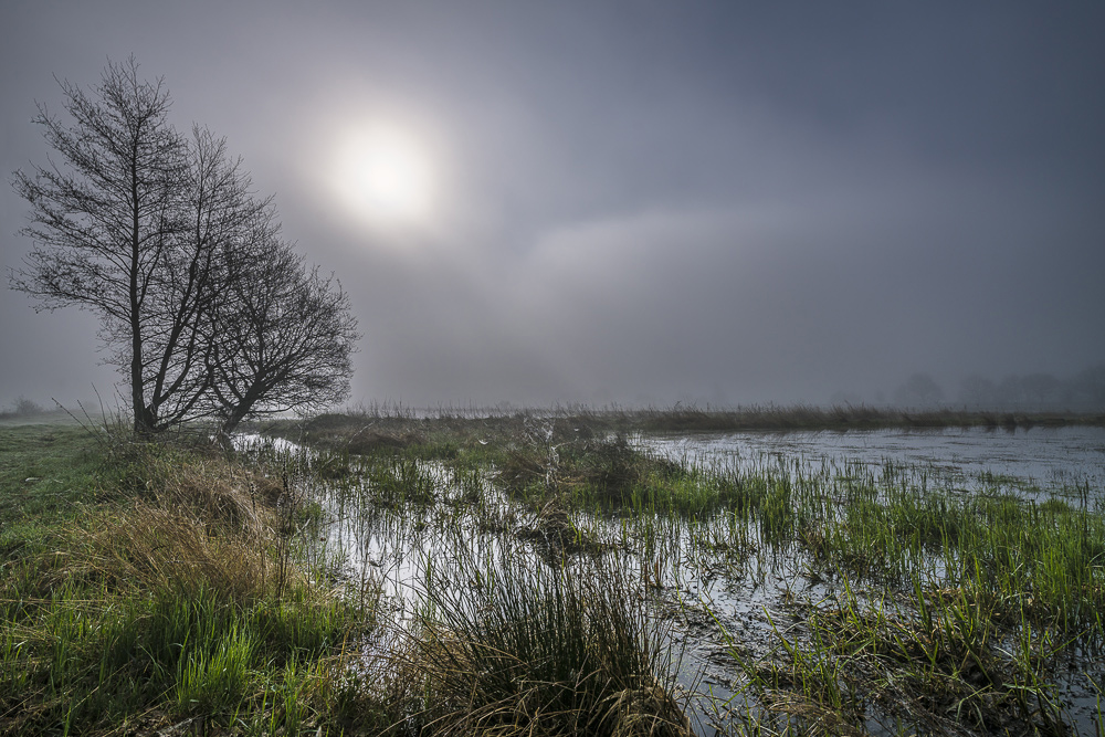 Nebel im Teufelsmoor