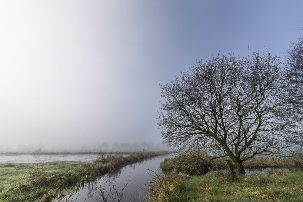 Nebel im Teufelsmoor II