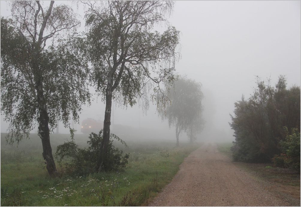 Nebel im Tullnerfeld