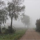 Nebel im Tullnerfeld