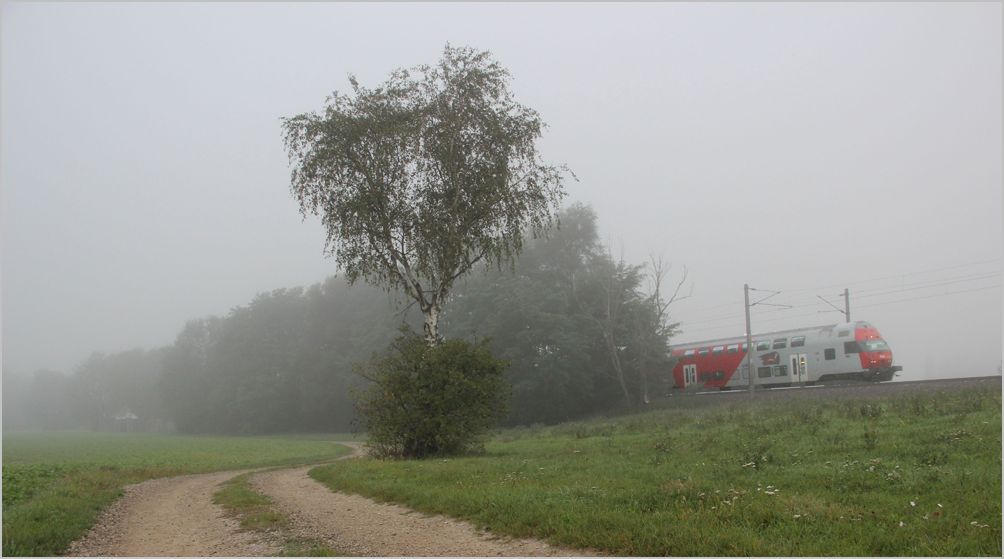 Nebel im Tullnerfeld II