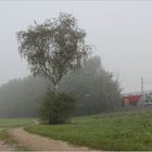 Nebel im Tullnerfeld II