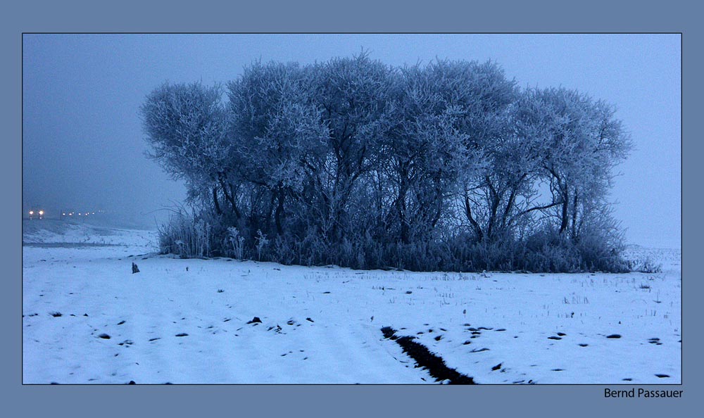 Nebel im Unterland