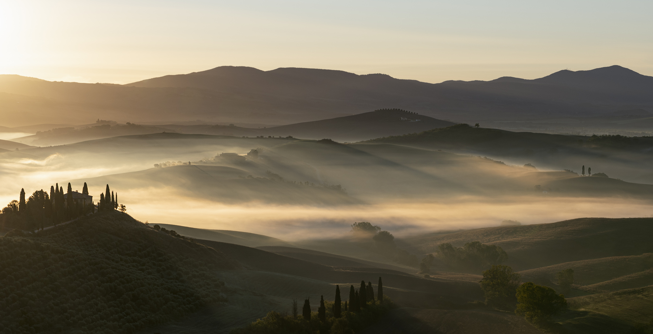 Nebel im Val d'Orcia