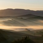 Nebel im Val d'Orcia