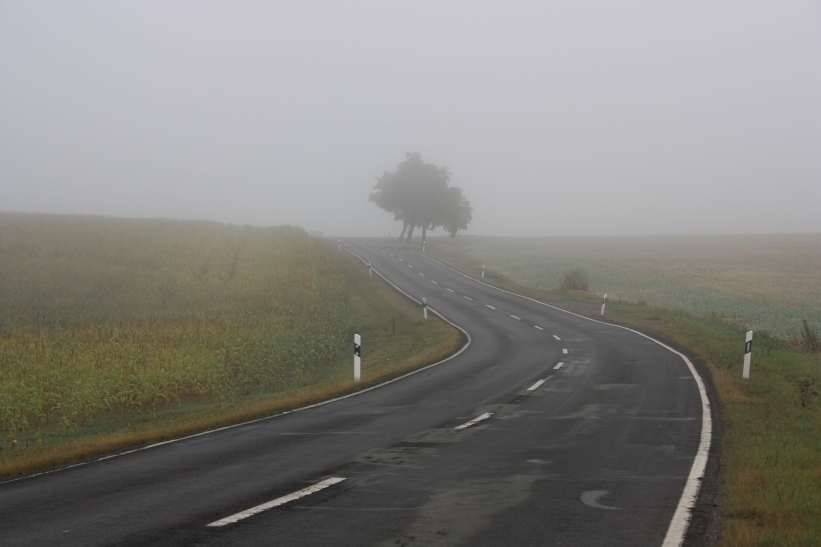 Nebel im Vogtland