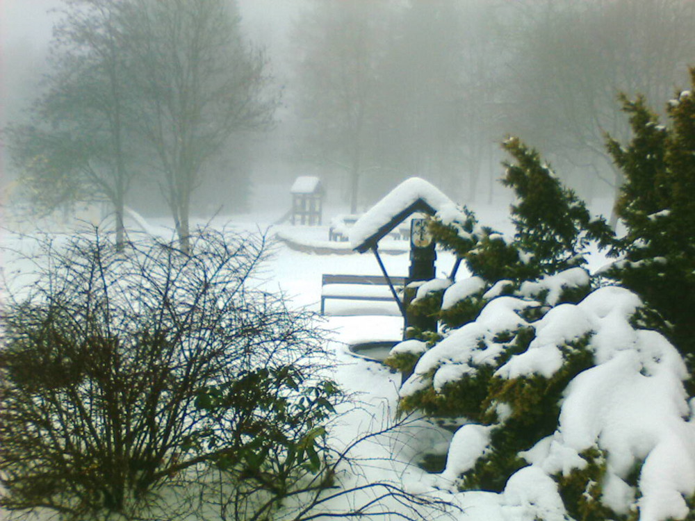 Nebel im Wald