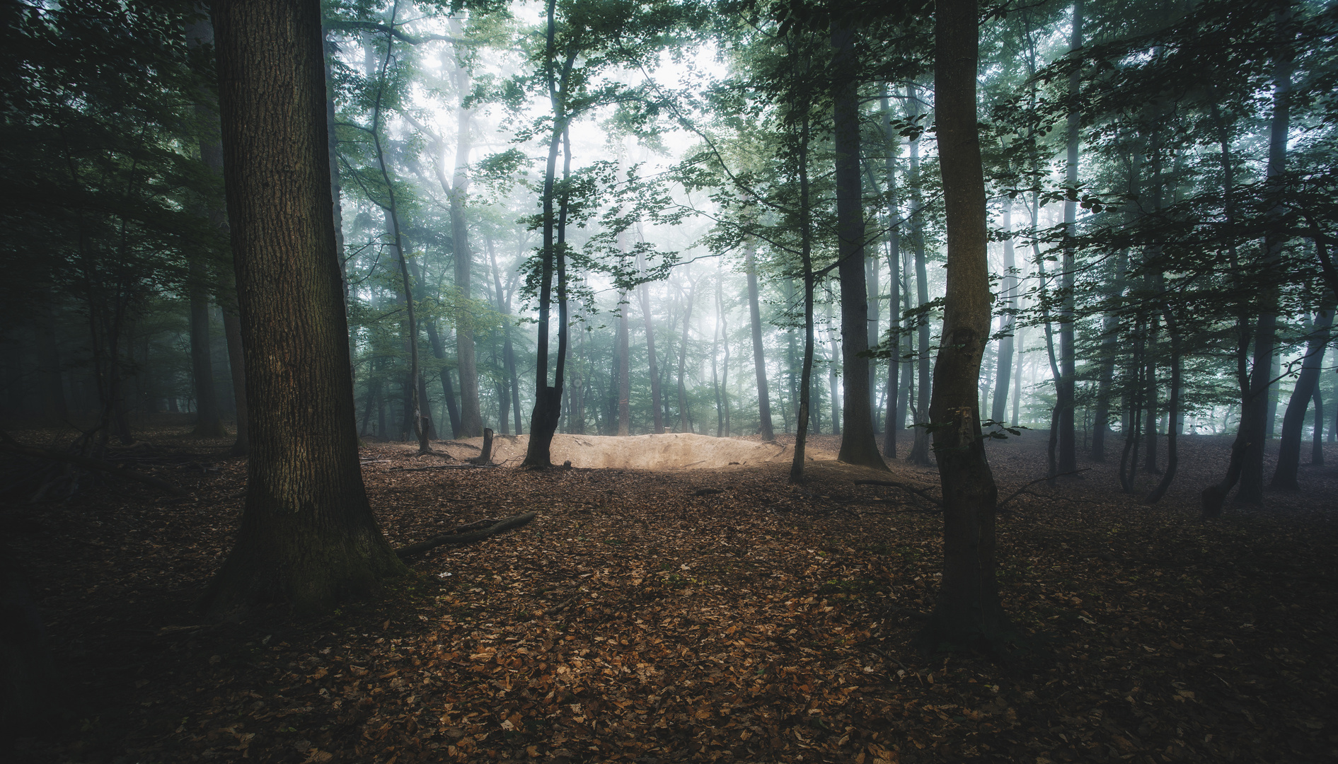 Nebel im Wald