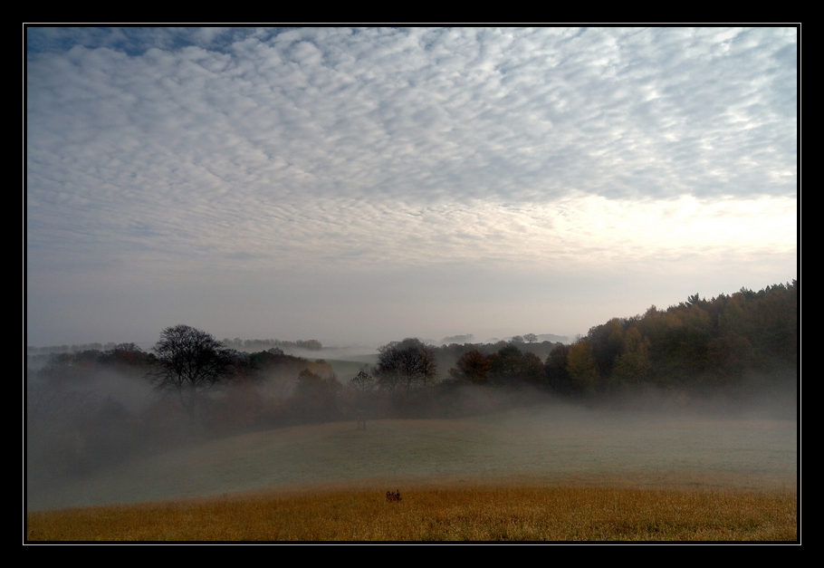 Nebel im Warnowtal