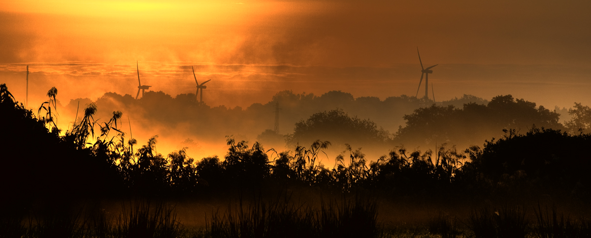 Nebel im Warnowtal