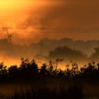 Nebel im Warnowtal