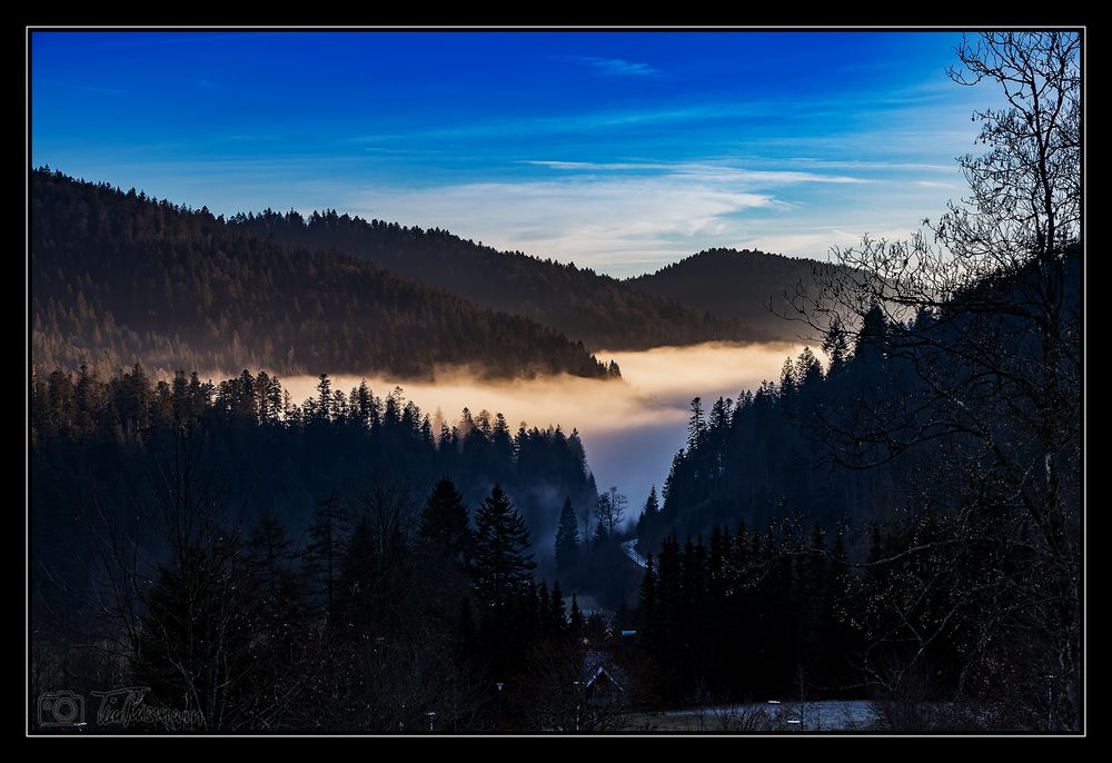 Nebel im Wehratal #2