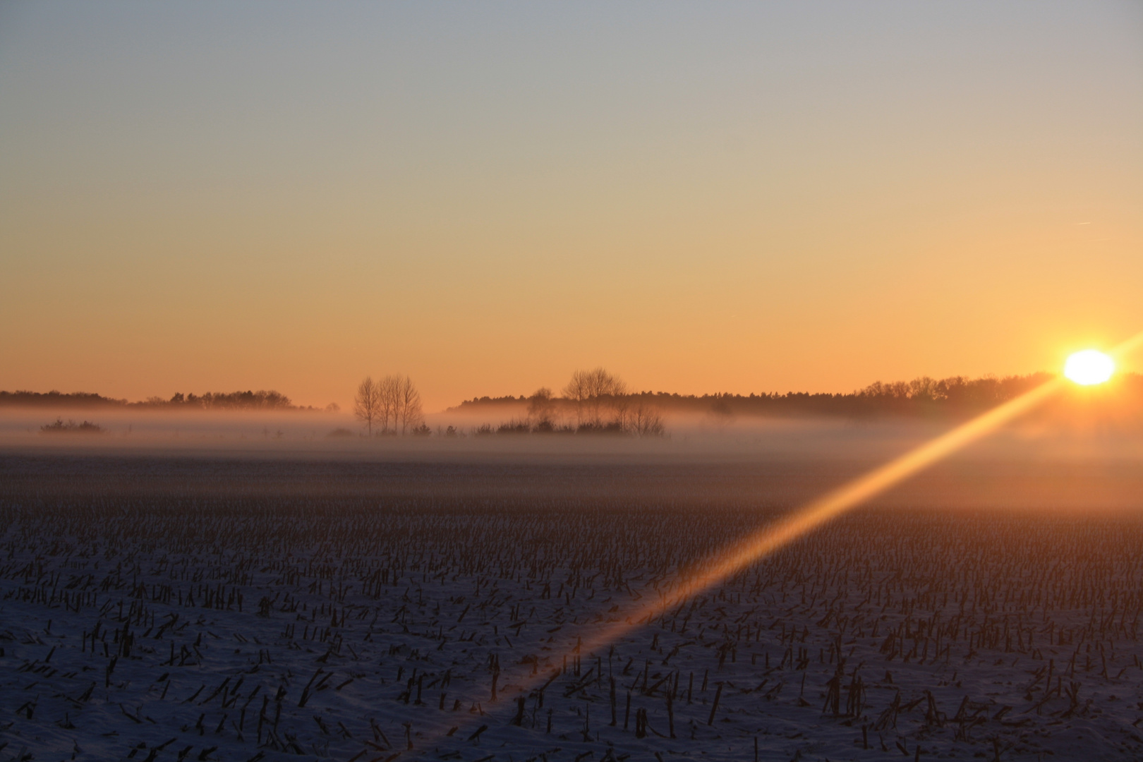 Nebel im Wendland ....