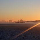 Nebel im Wendland ....