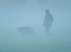 Nebel im Werftpark 2