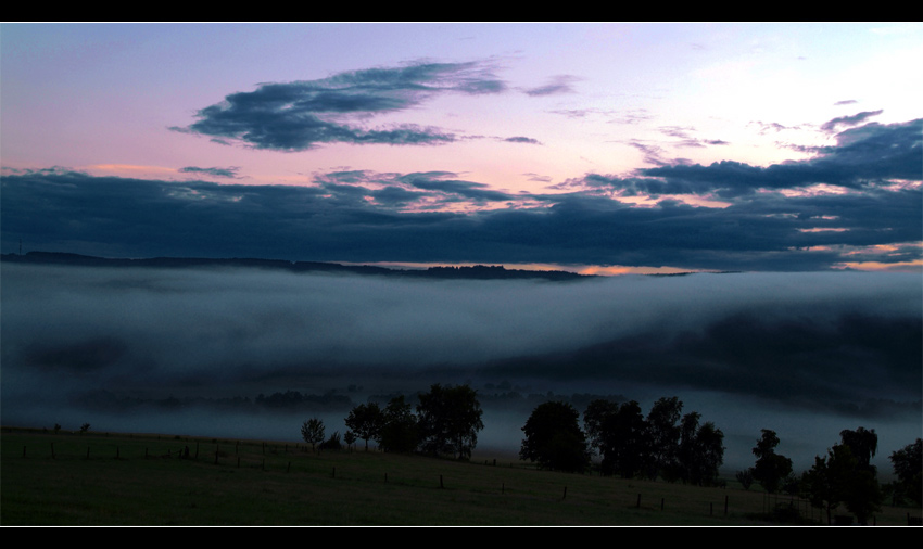 Nebel im Westerwald 2