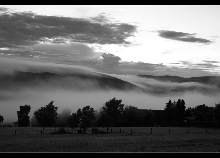 Nebel im Westerwald 3