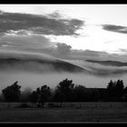 Nebel im Westerwald 3