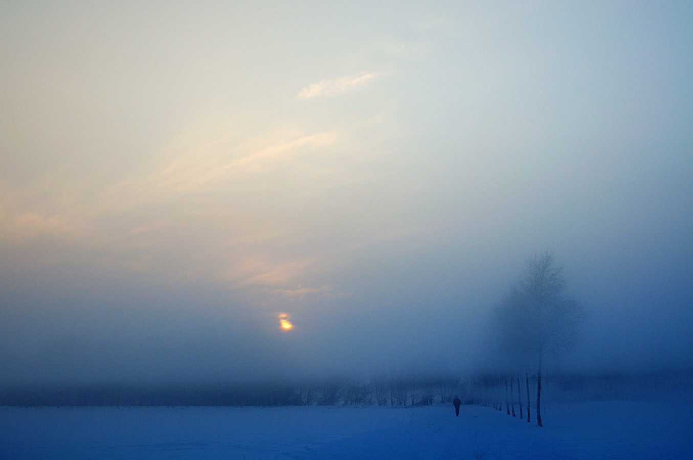 Nebel im Winter