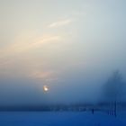 Nebel im Winter