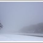 Nebel im Winter