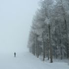 Nebel im Winter