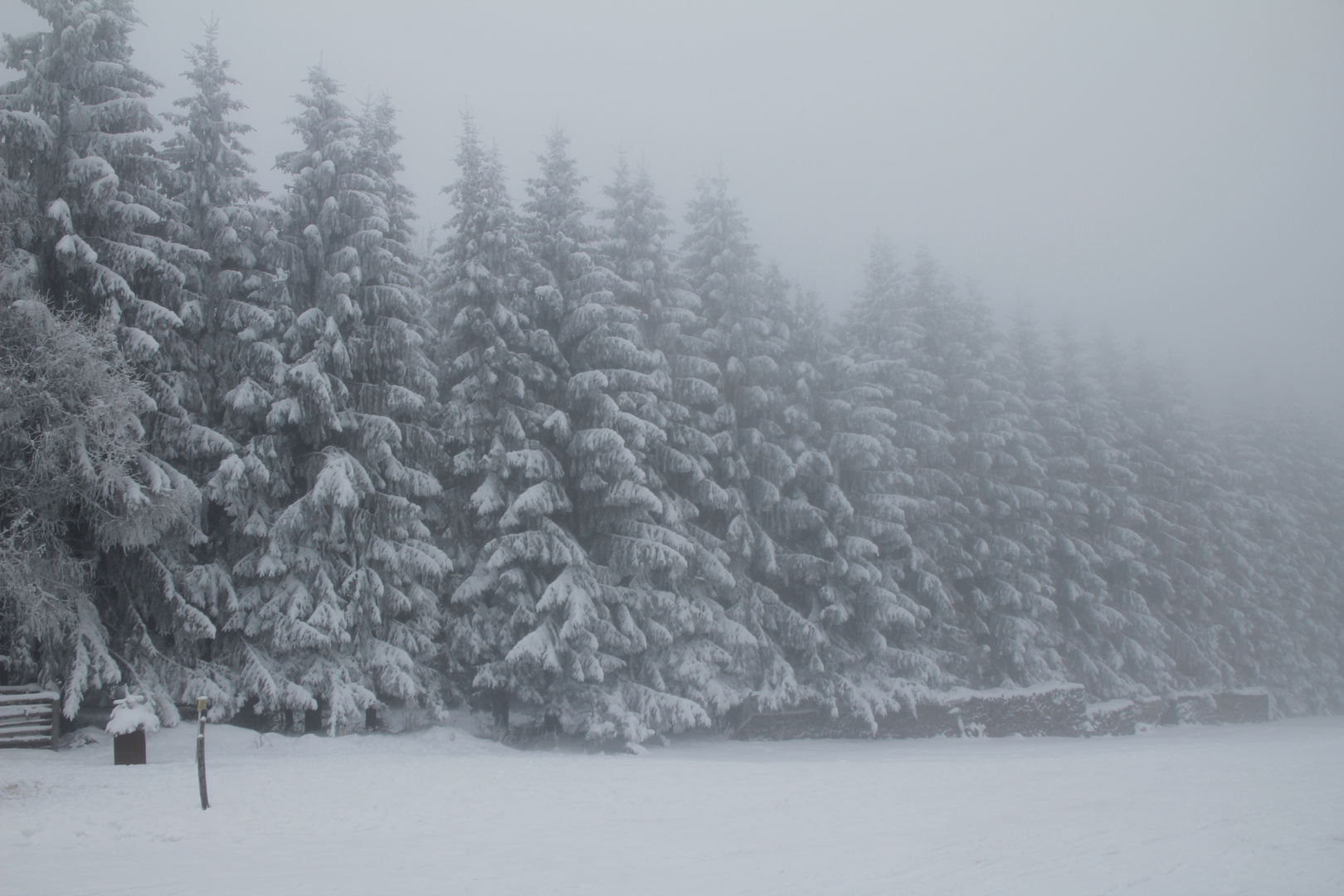 Nebel im Winter