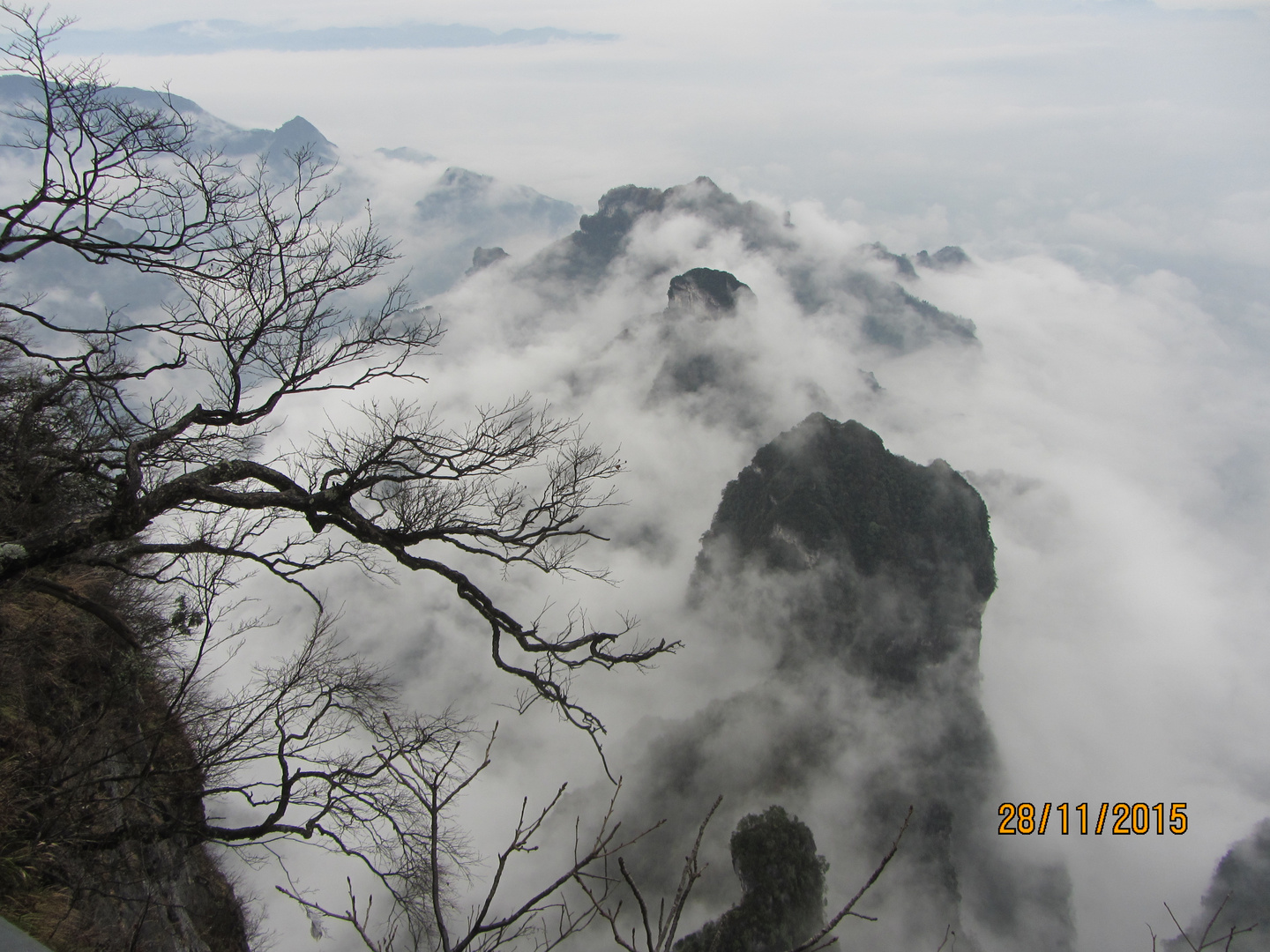 Nebel im Zhangjiajie-China's National Park