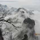 Nebel im Zhangjiajie-China's National Park