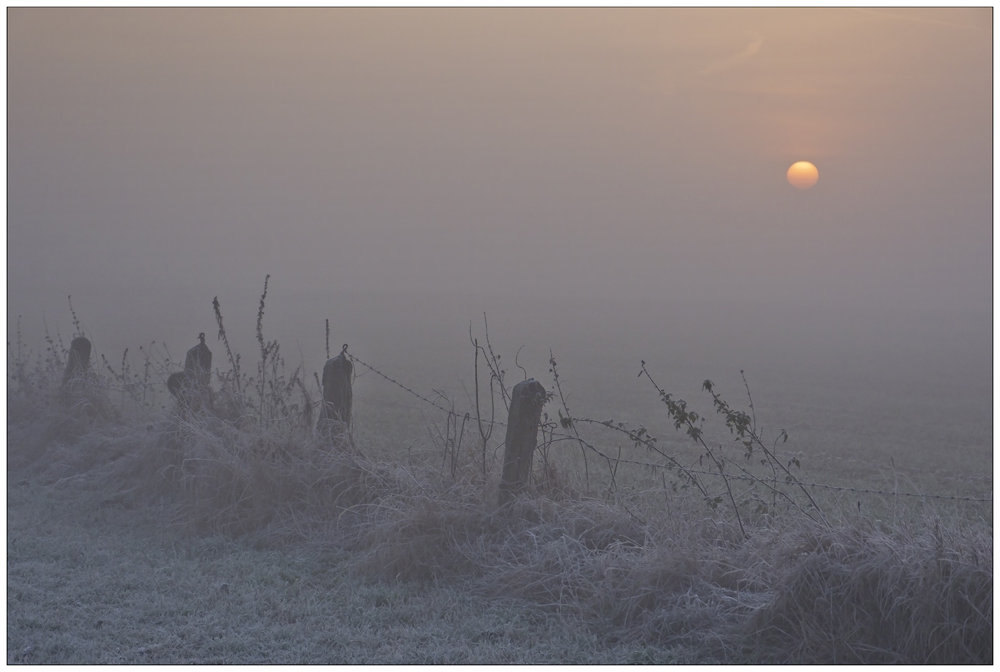 Nebel-Impression