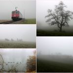 Nebel Impressionen / Impresiones de niebla / Impressions de la brume.03