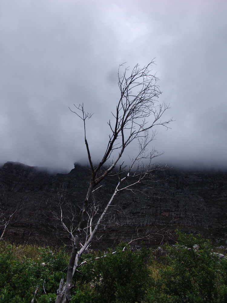 Nebel in Afrika