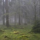Nebel in Altastenberg