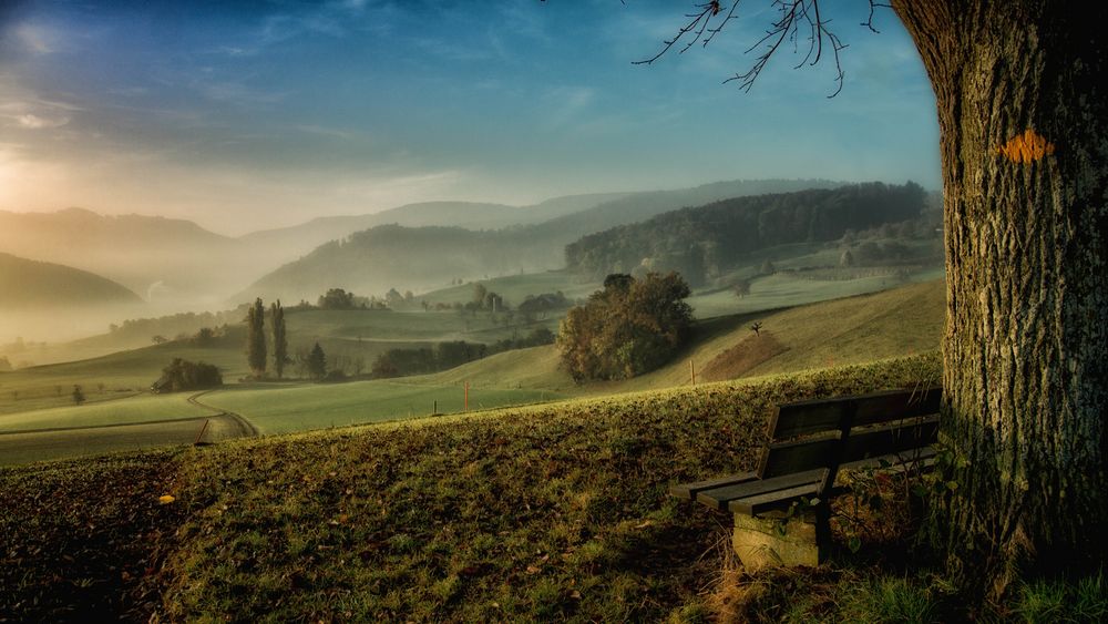 Nebel in Auflösung